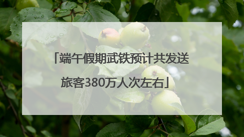端午假期武铁预计共发送旅客380万人次左右